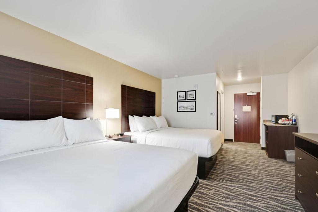Cobblestone Hotel & Suites - Mosinee photo 87
