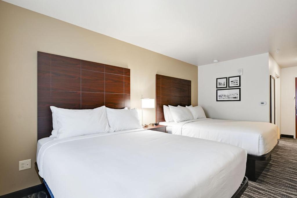 Cobblestone Hotel & Suites - Mosinee photo 93