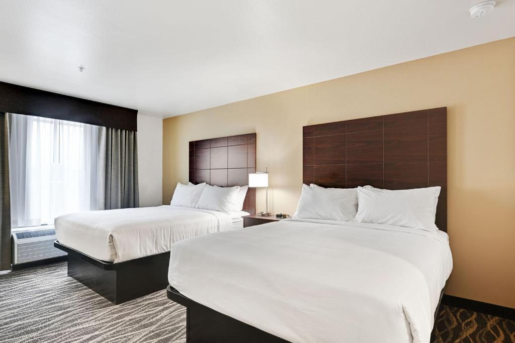 Cobblestone Hotel & Suites - Mosinee photo 90