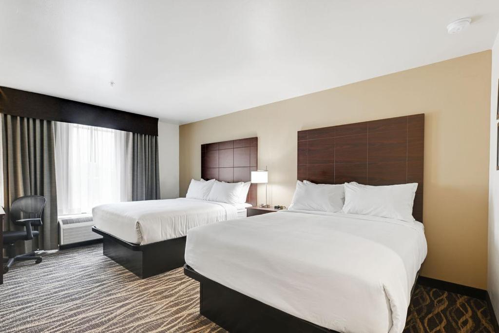 Cobblestone Hotel & Suites - Mosinee photo 91