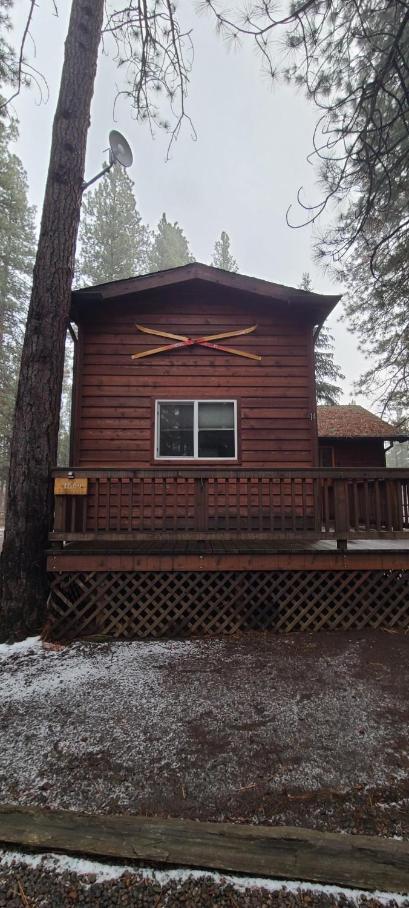 Cold Springs Resort photo 15