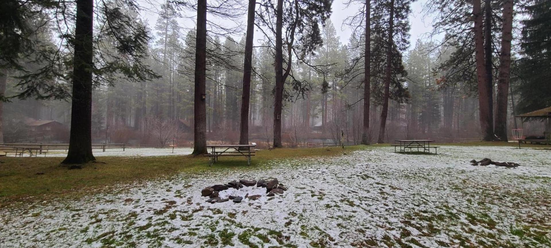 Cold Springs Resort photo 14