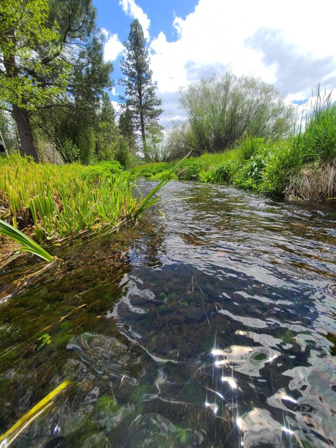 Cold Springs Resort photo 38