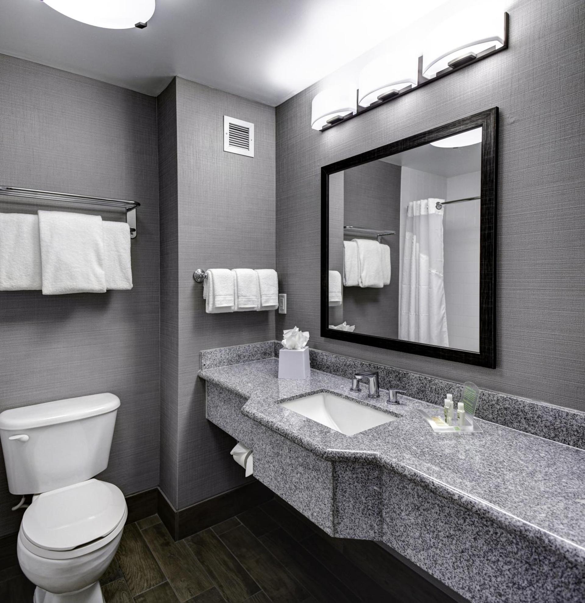 Holiday Inn Savannah Historic District by IHG photo 3