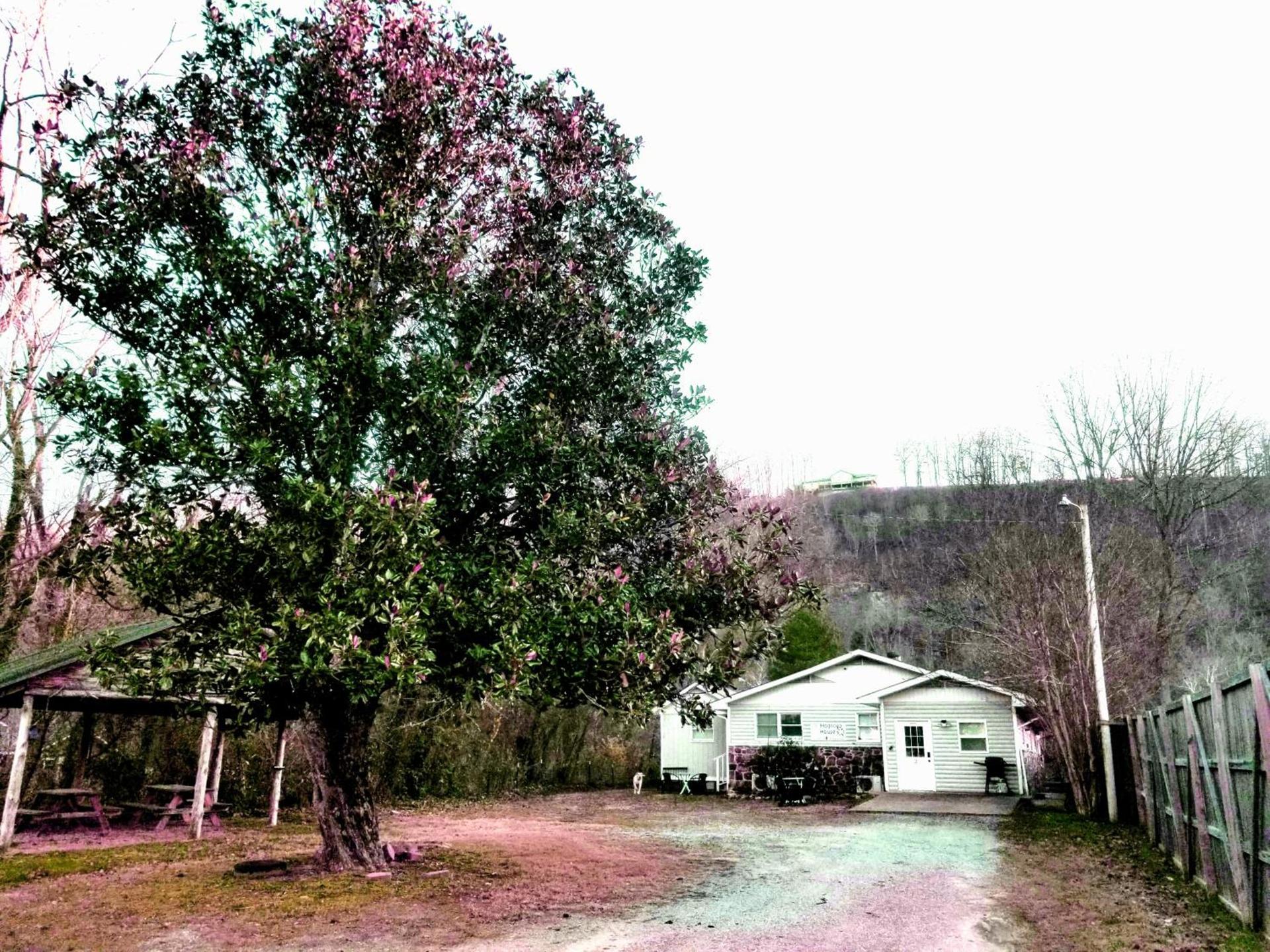 The Magnolia House photo 57