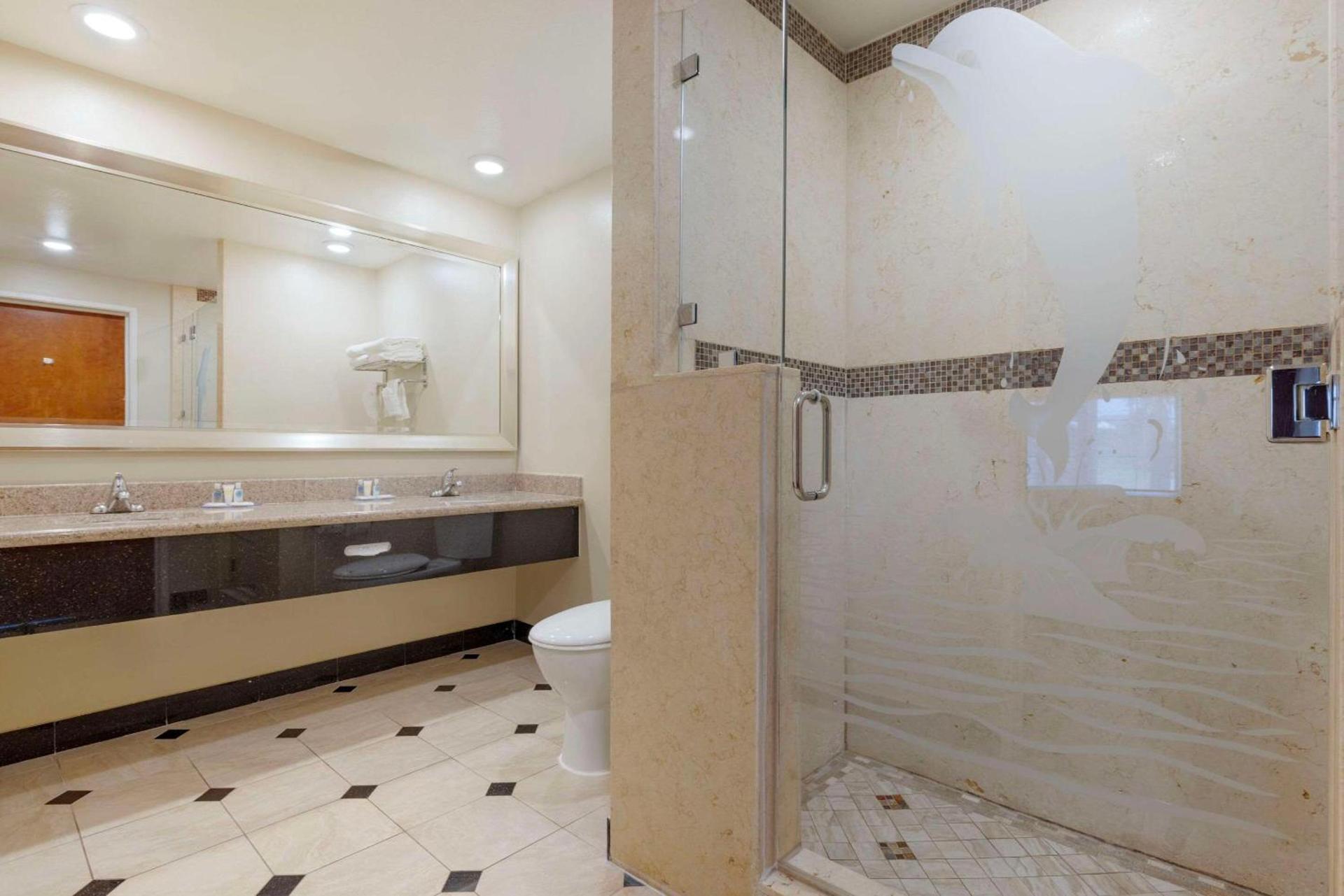 Comfort Suites Oceanside Camp Pendleton Area photo 11