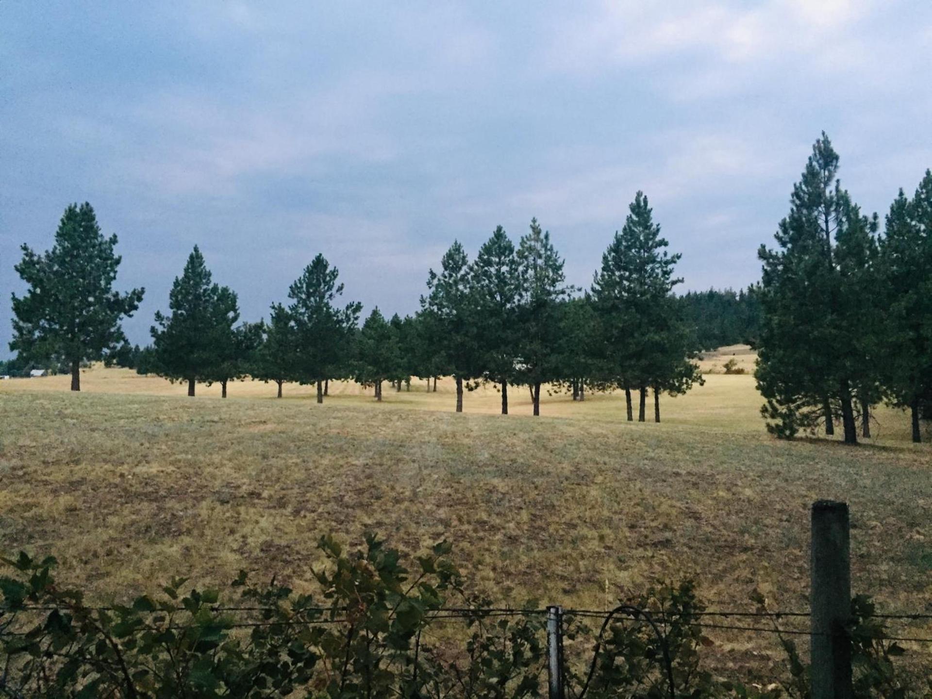 The Silverwood Lodge photo 2