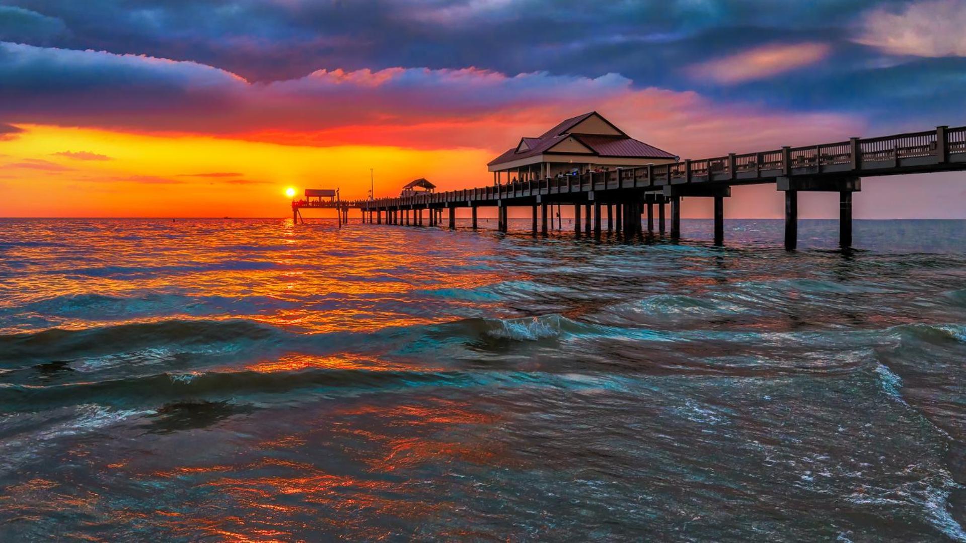 Pelican Pointe Clearwater Beach Hotel photo 45