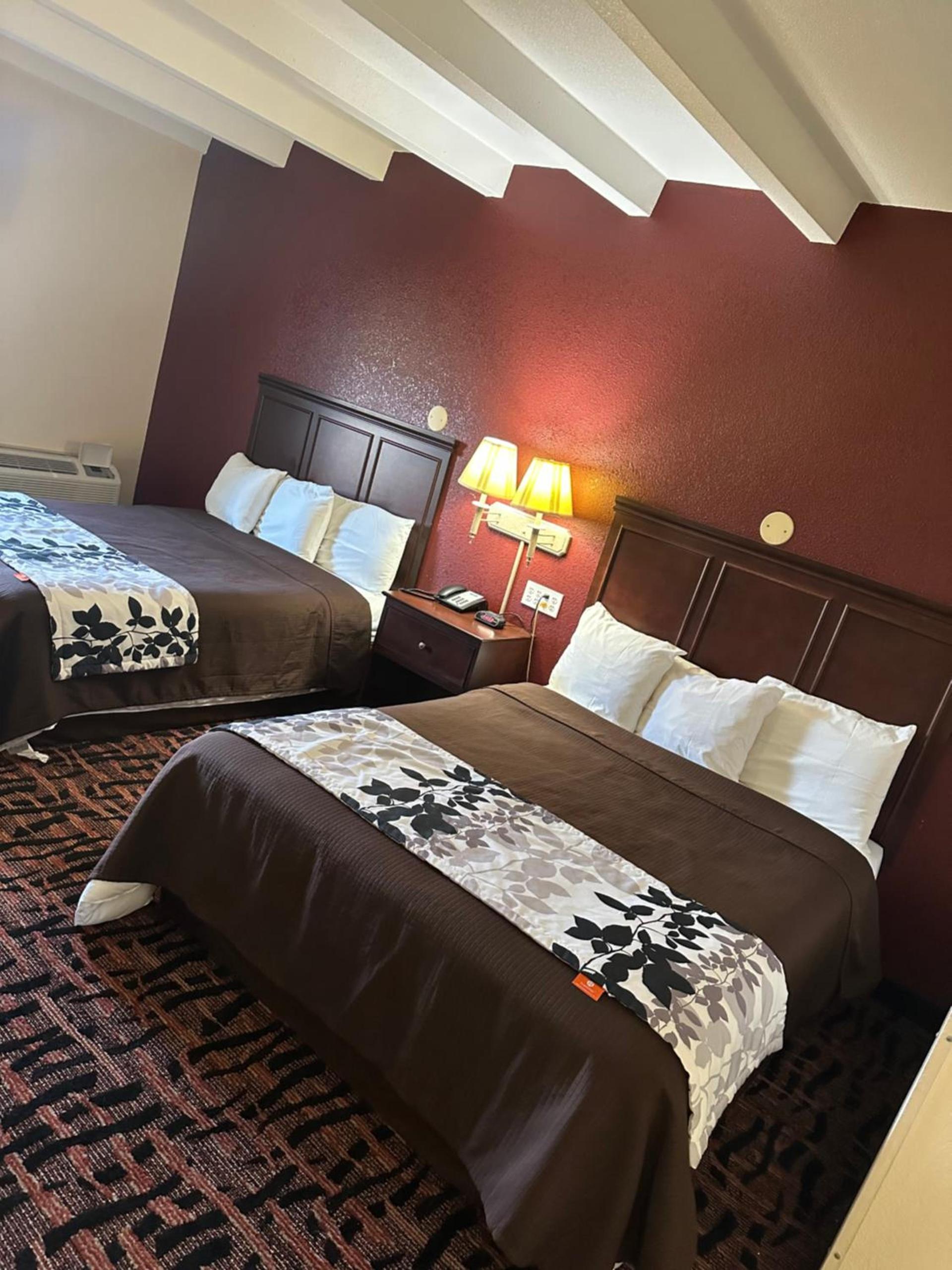 Executive Inn photo 19