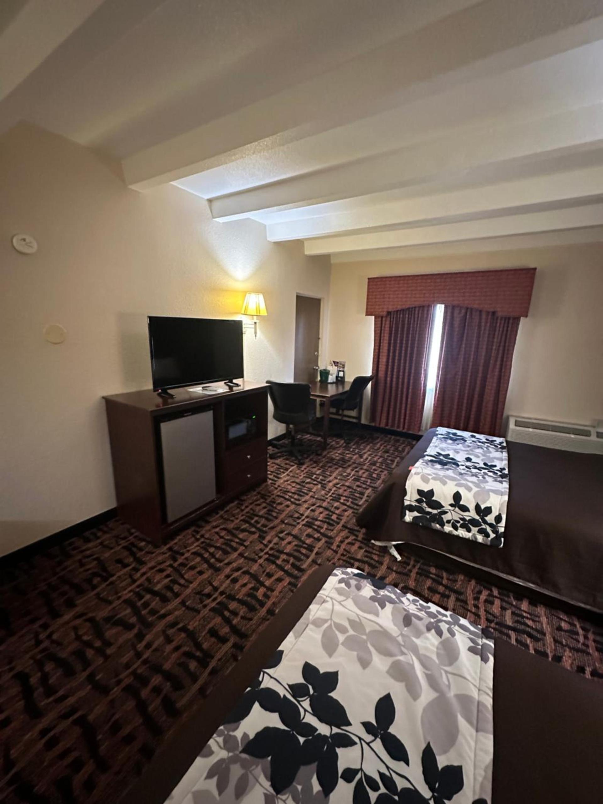 Executive Inn photo 16
