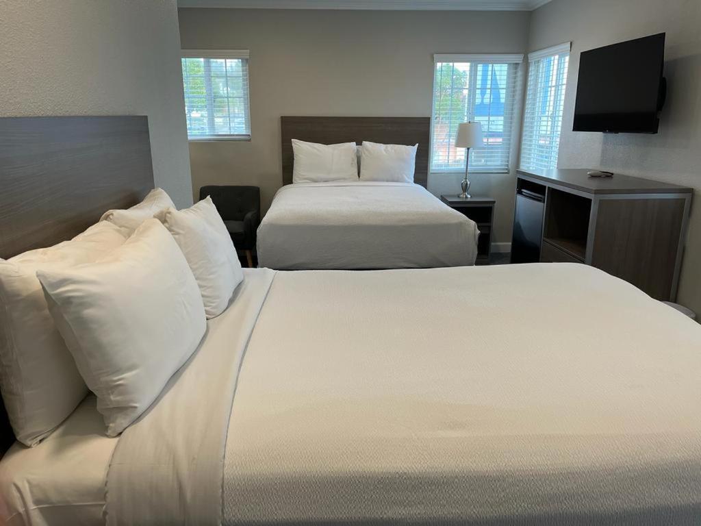 Ocean Park Inn photo 3