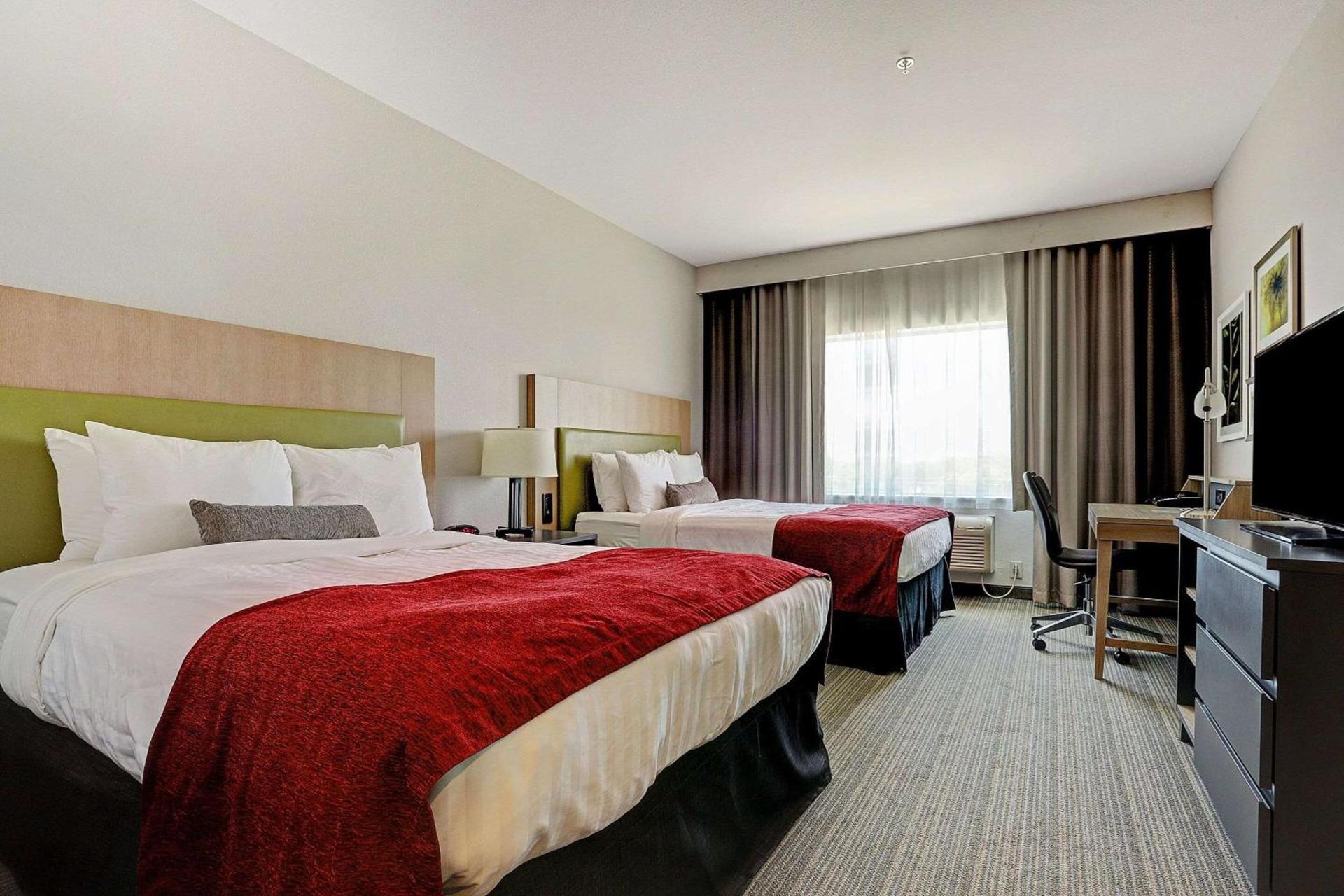 Garner Hotel Houston - Westheimer by IHG photo 6