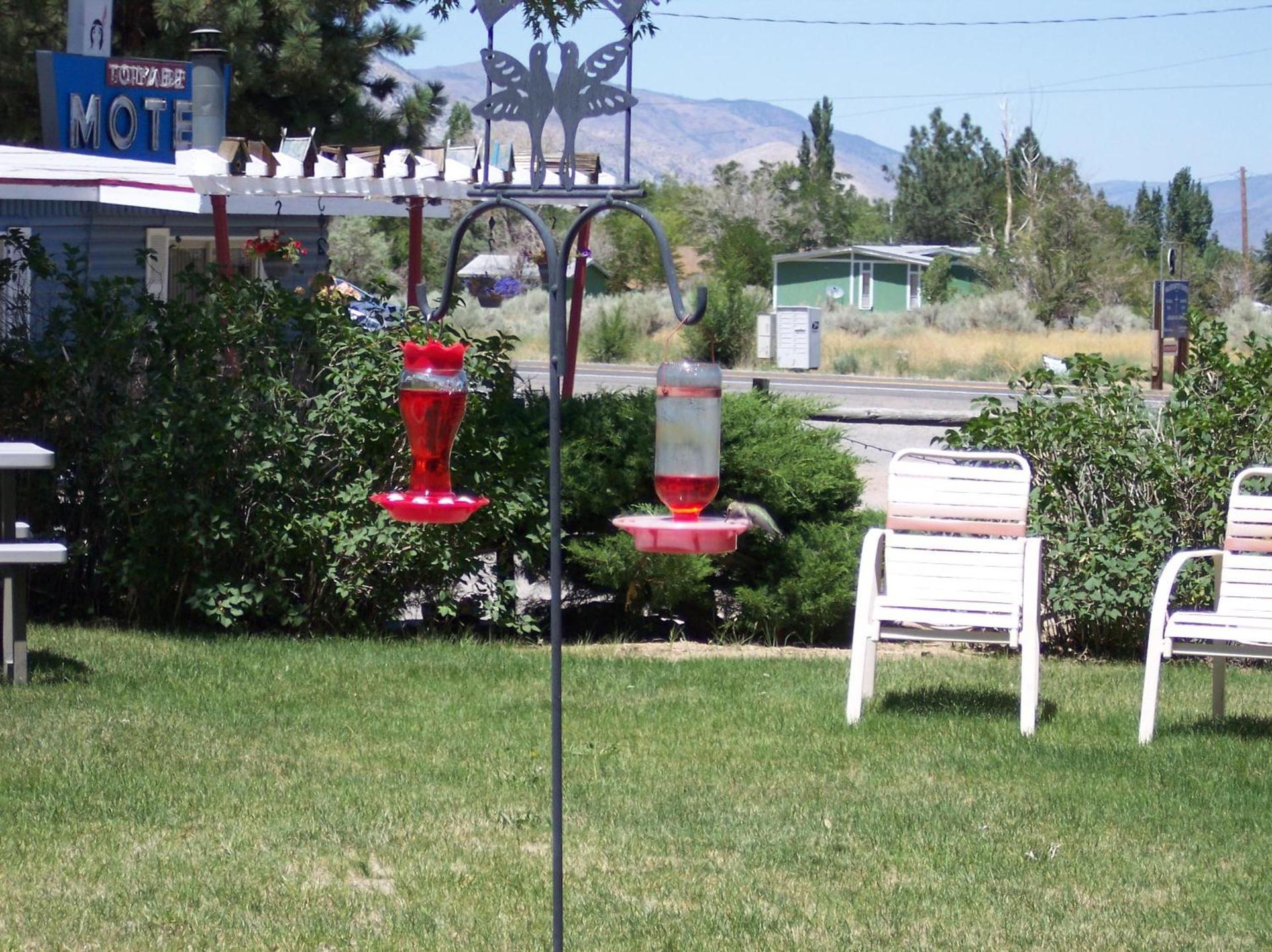 Toiyabe Motel photo 28