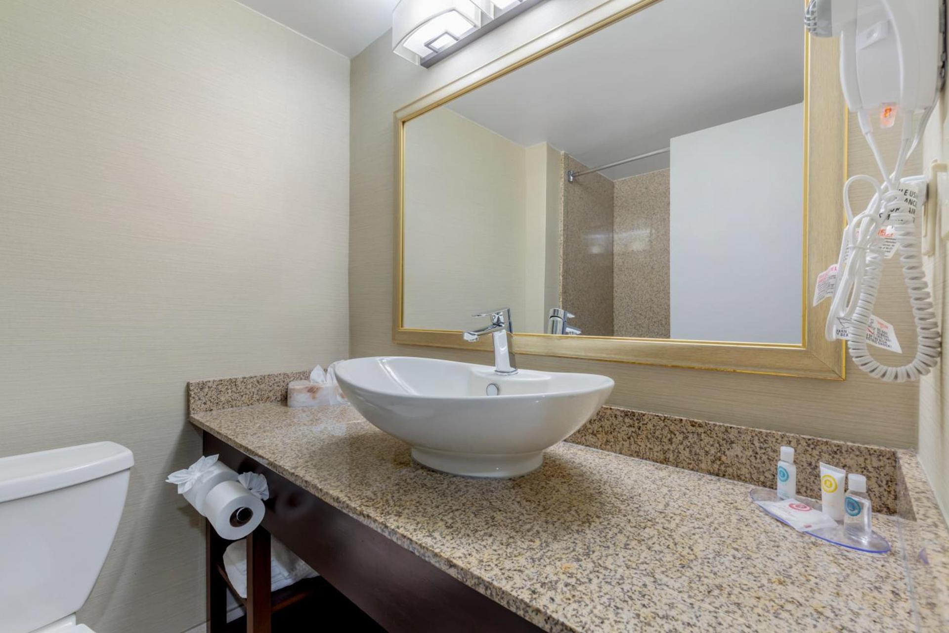 Comfort Inn Herndon-Reston photo 49