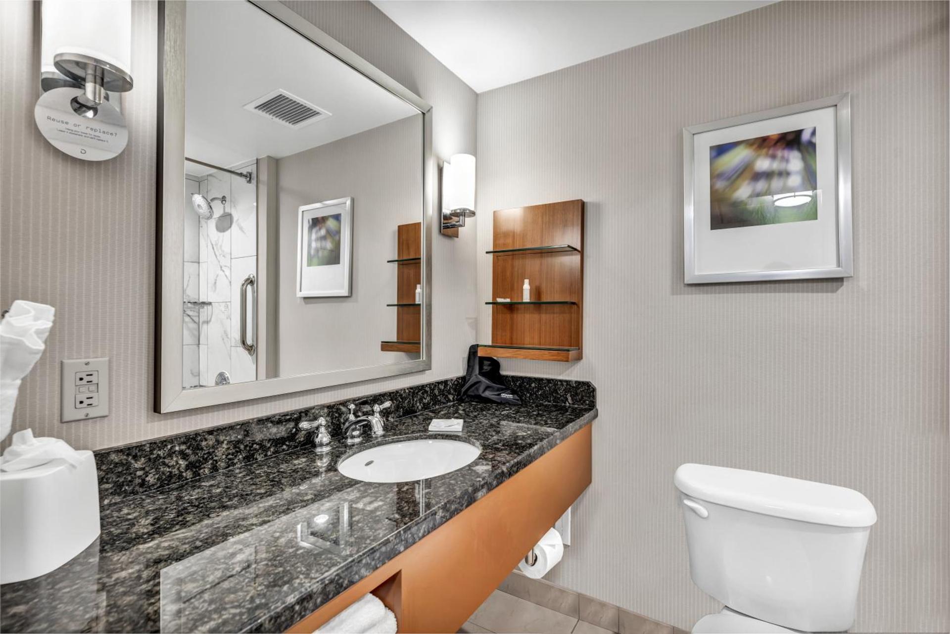 Delta Hotels by Marriott Mount Pleasant photo 77