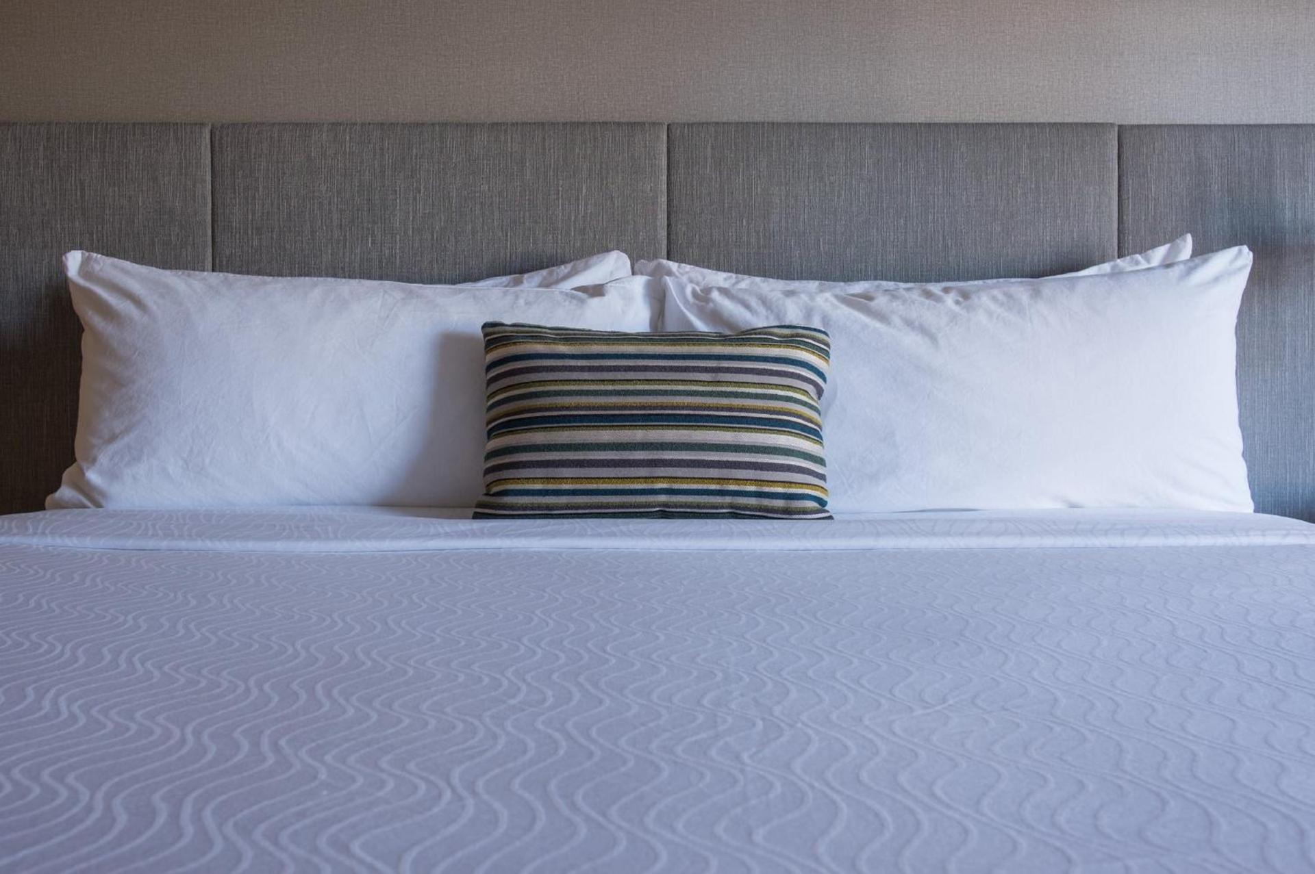 Hotel Indigo Napa Valley by IHG photo 69