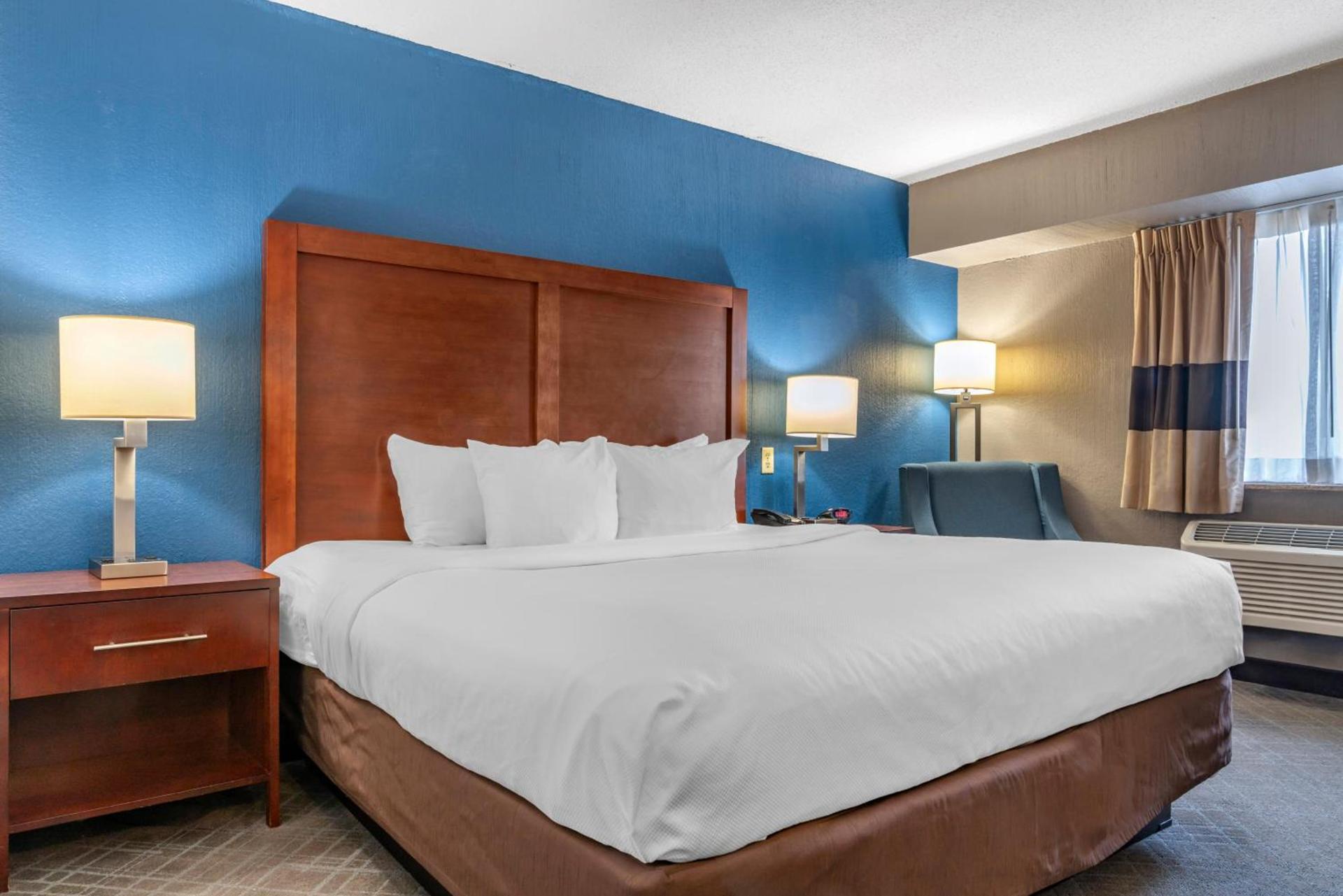 Comfort Inn University photo 3