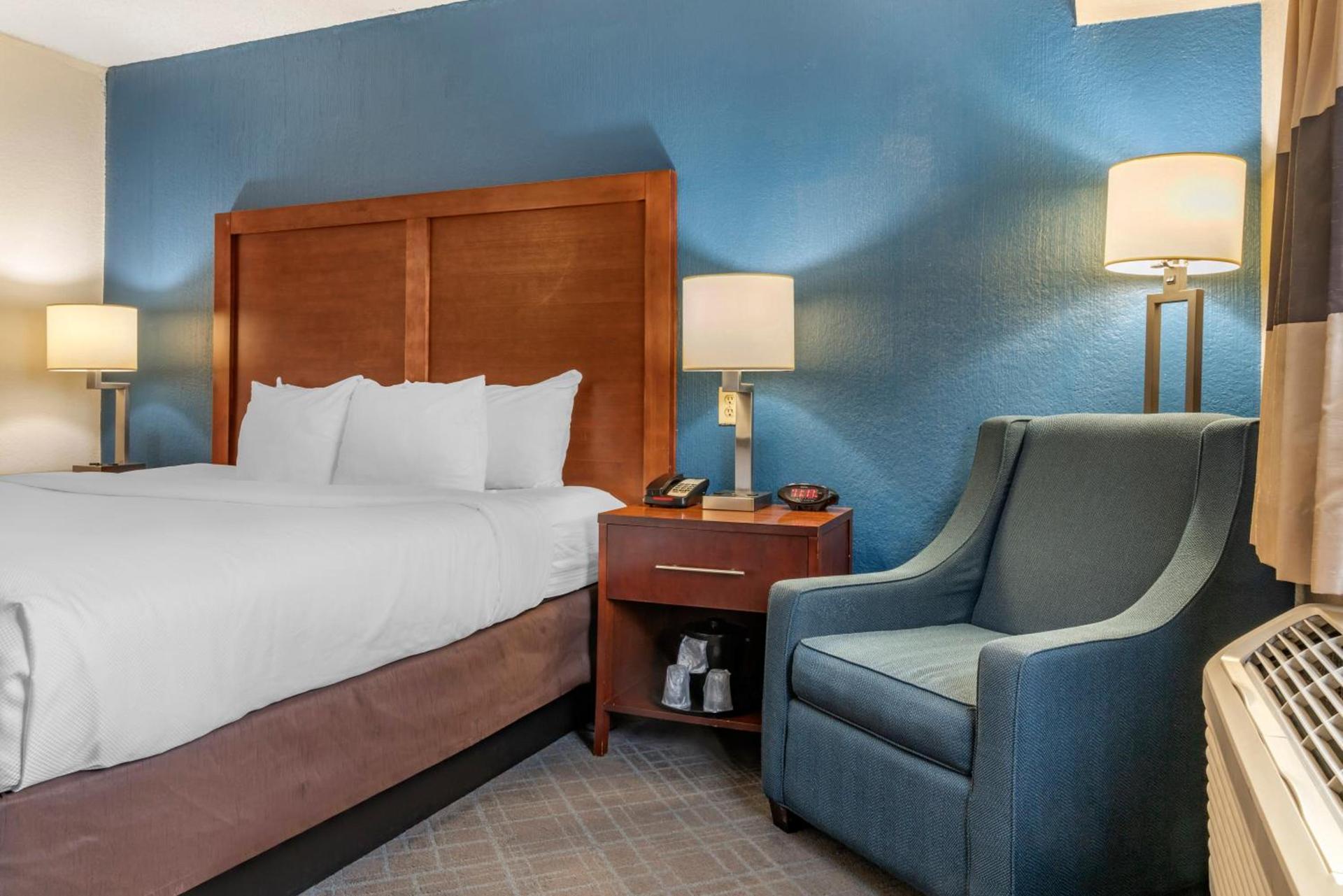 Comfort Inn University photo 4