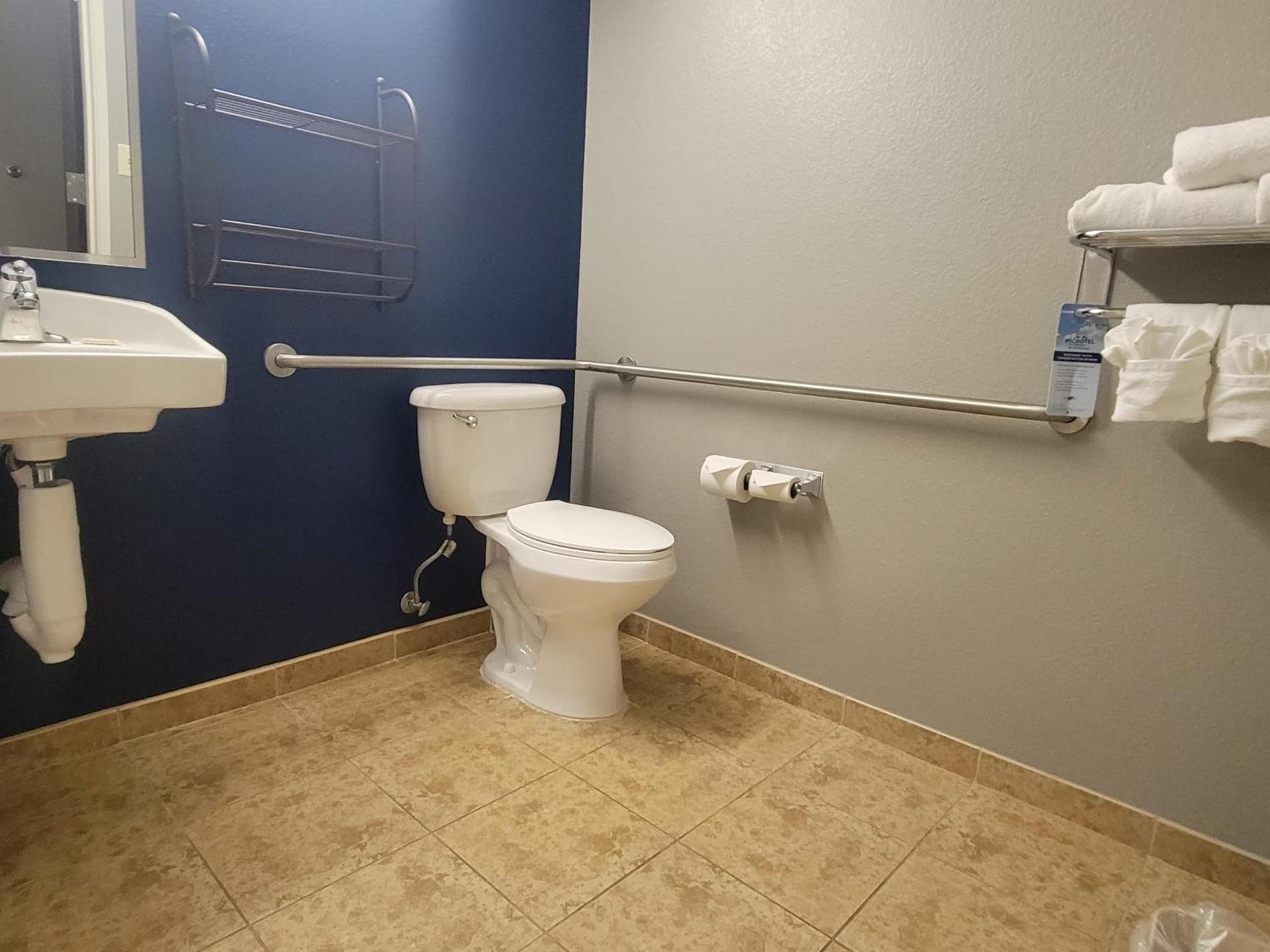 Microtel Inn & Suites by Wyndham Bluffs photo 32