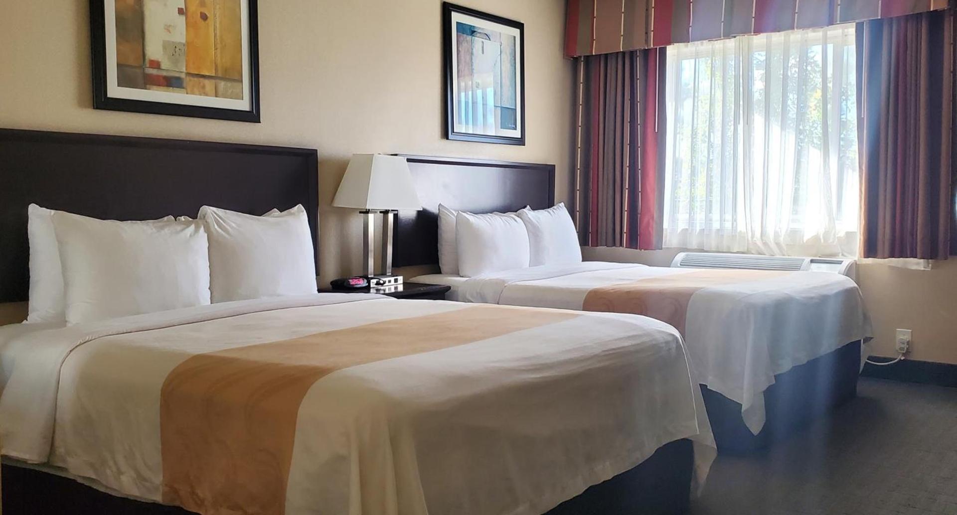 Quality Inn & Suites Anaheim at the Park photo 49