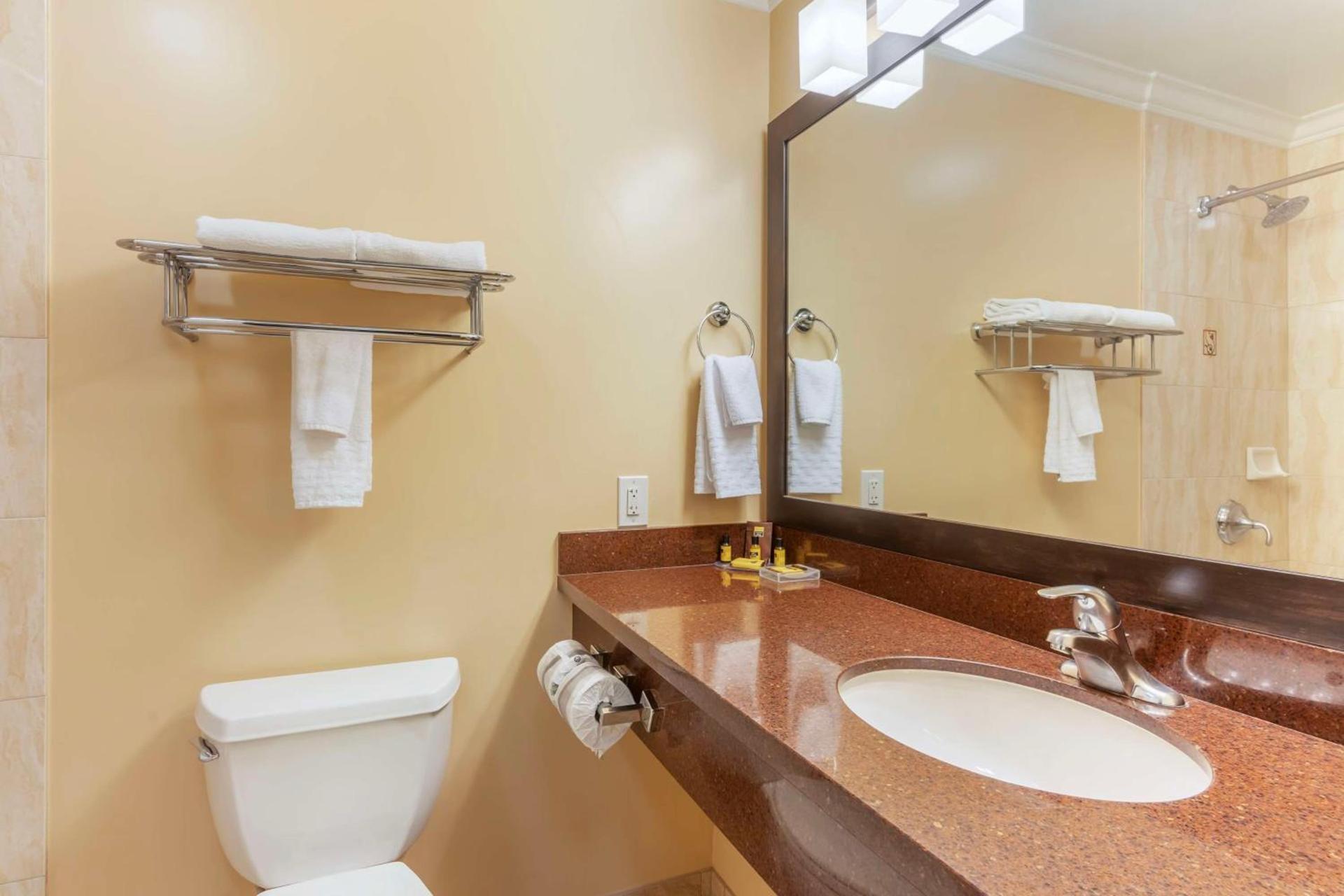 Best Western Plus Airport Plaza photo 22