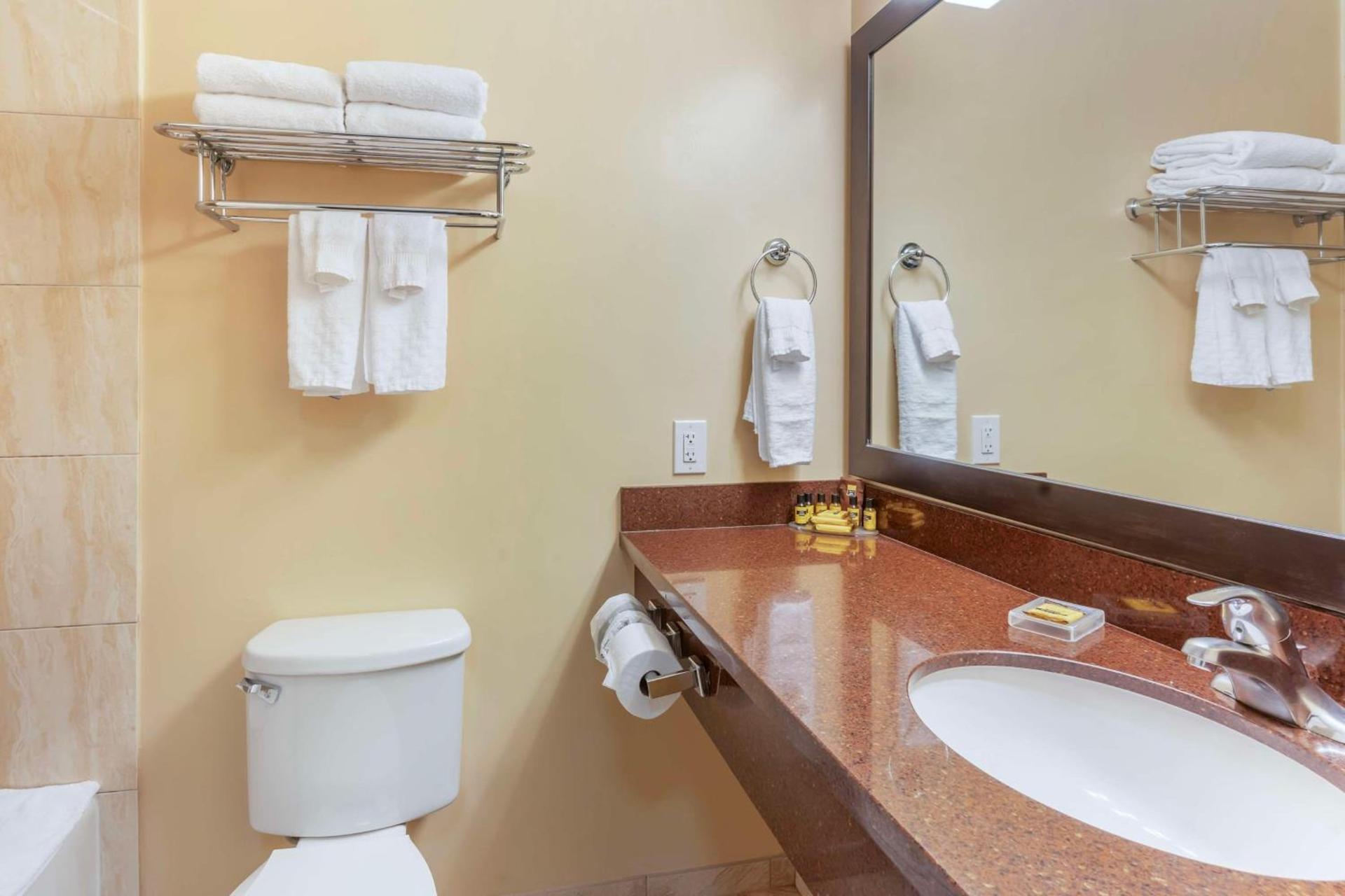 Best Western Plus Airport Plaza photo 35