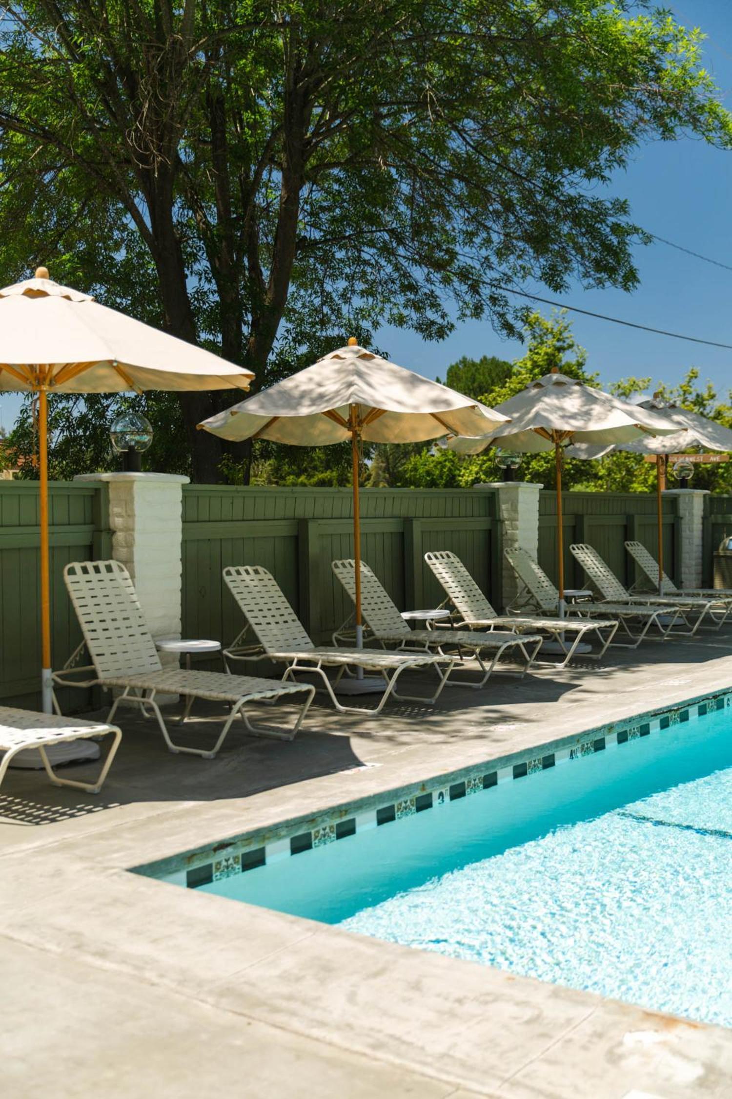 Hummingbird Inn photo 2