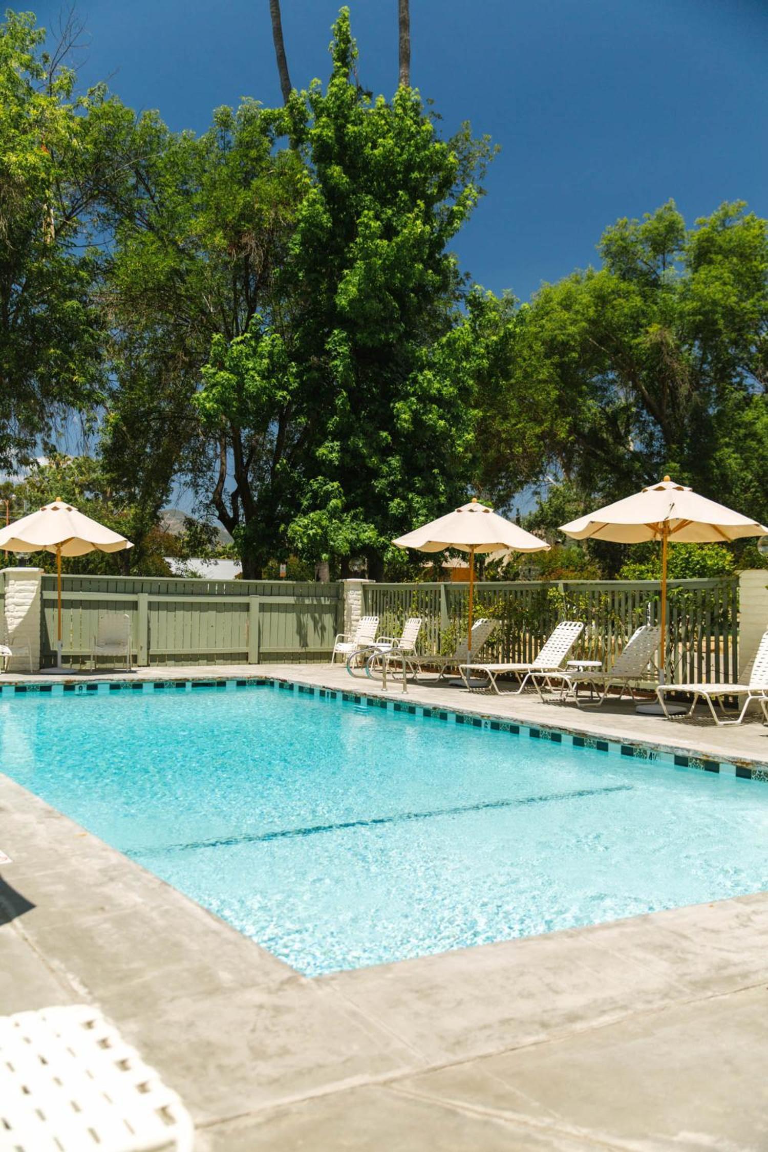 Hummingbird Inn photo 3