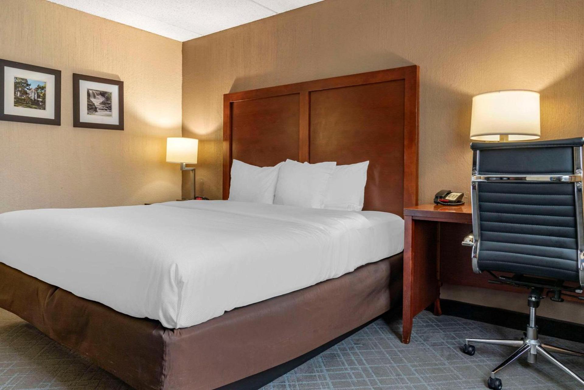 Comfort Inn University photo 25