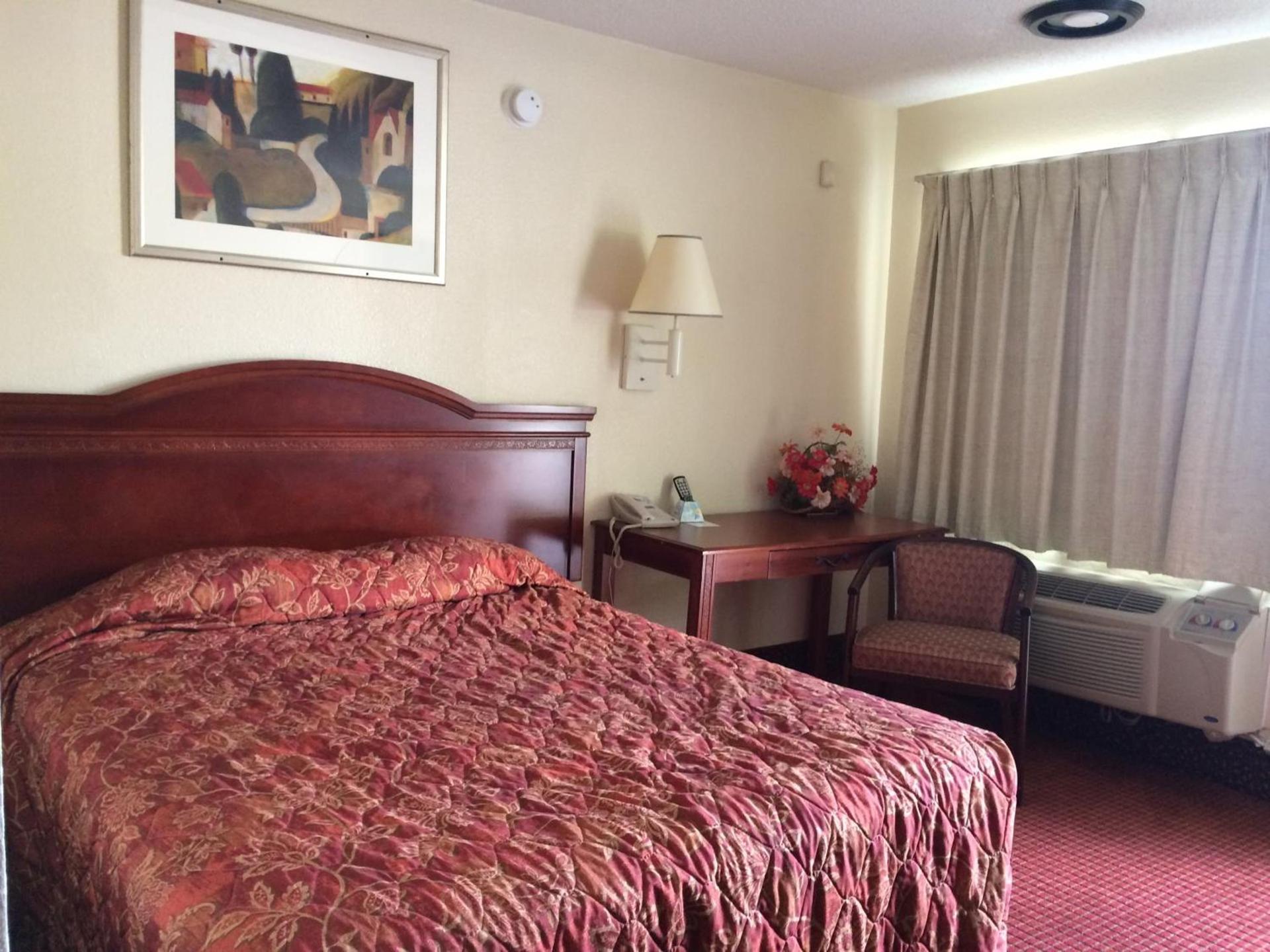 Carpet Inn photo 35