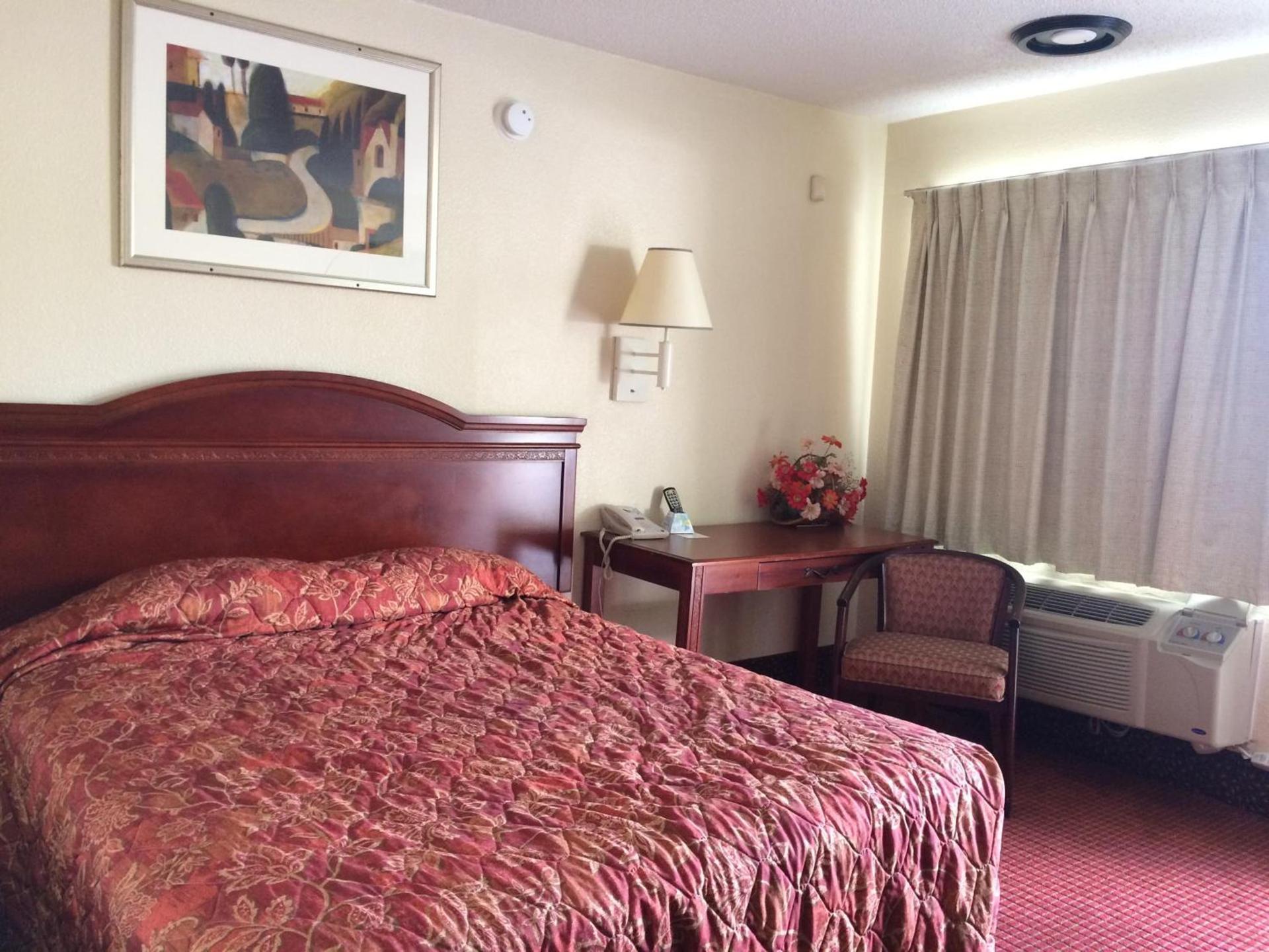 Carpet Inn photo 37