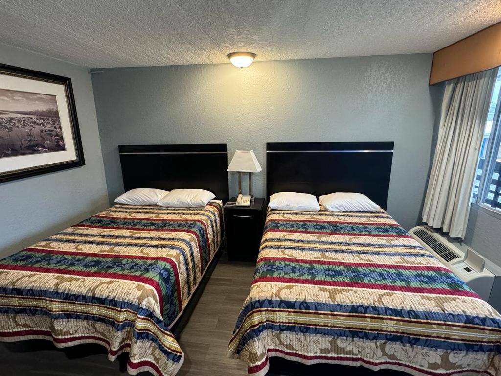 Midtown Lodge photo 3