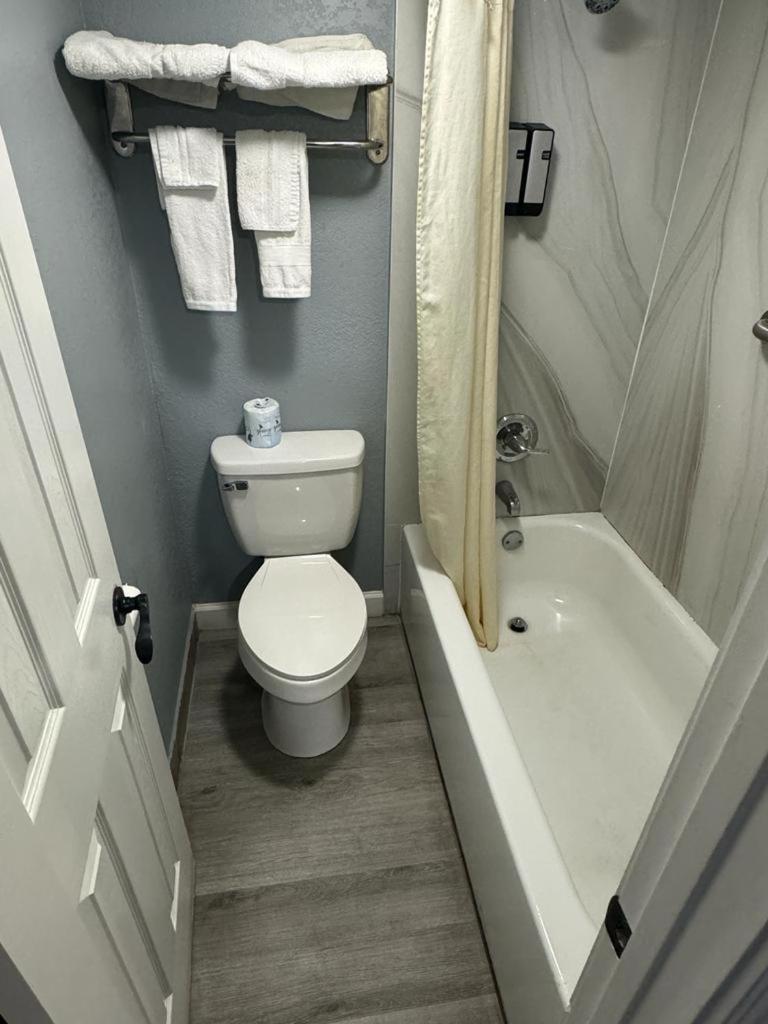 Midtown Lodge photo 7