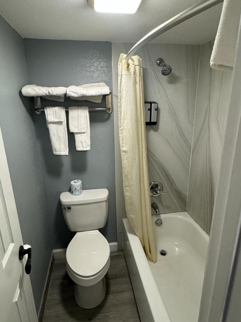 Midtown Lodge photo 14