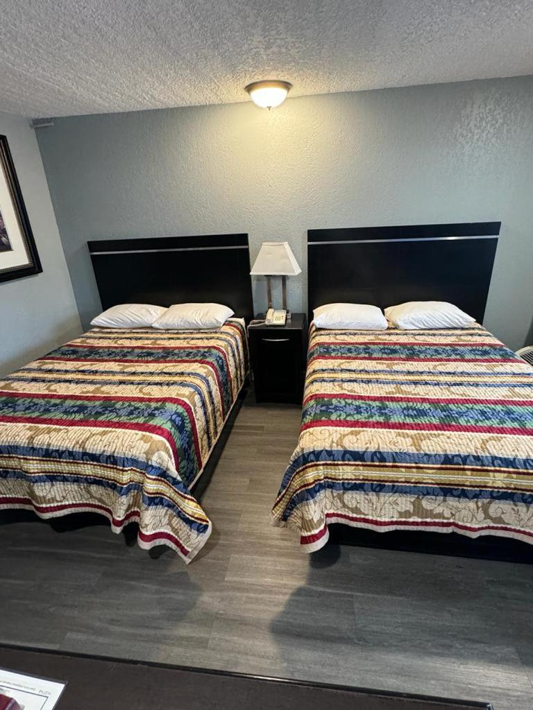 Midtown Lodge photo 15
