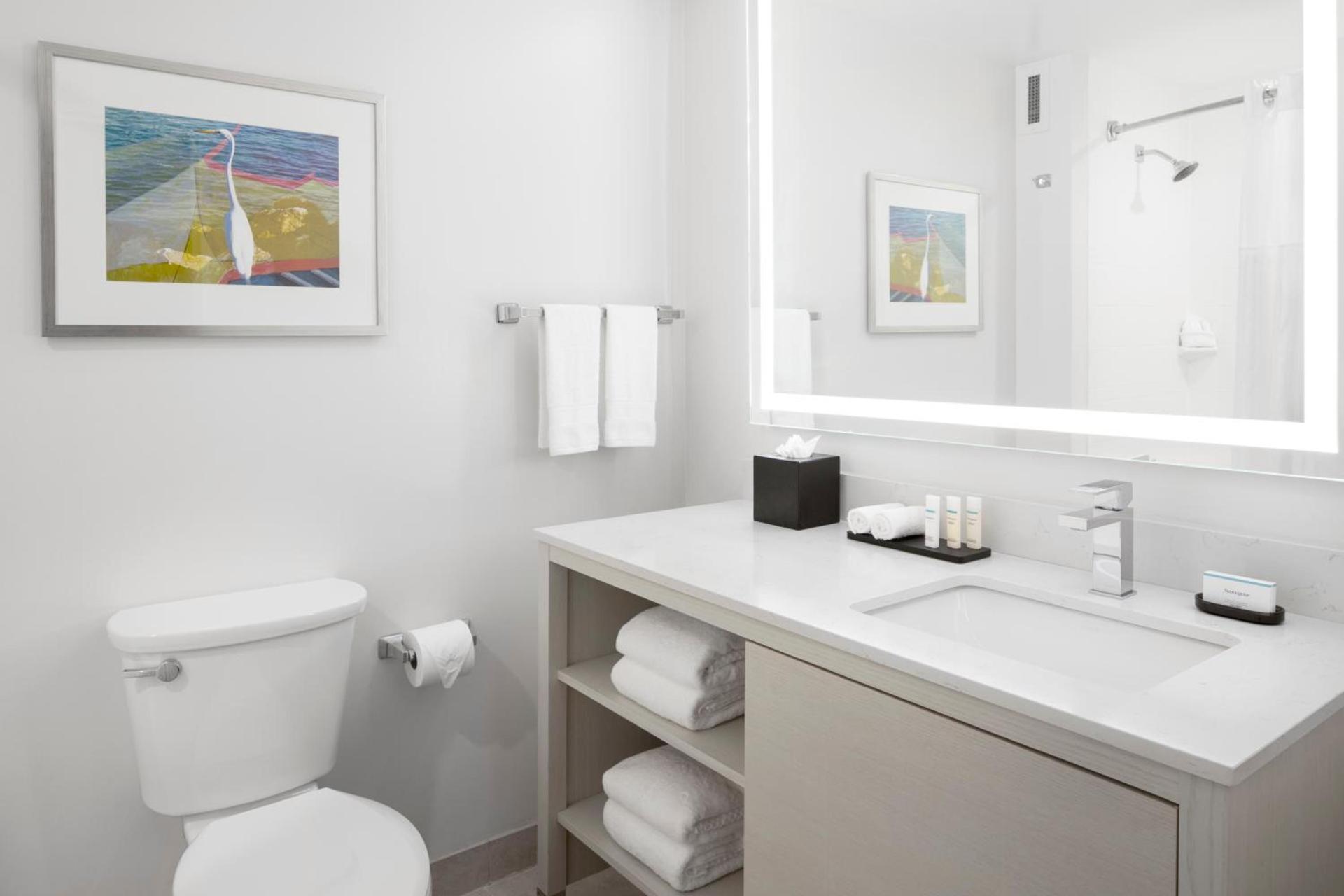 Embassy Suites by Hilton Tampa Airport Westshore photo 17