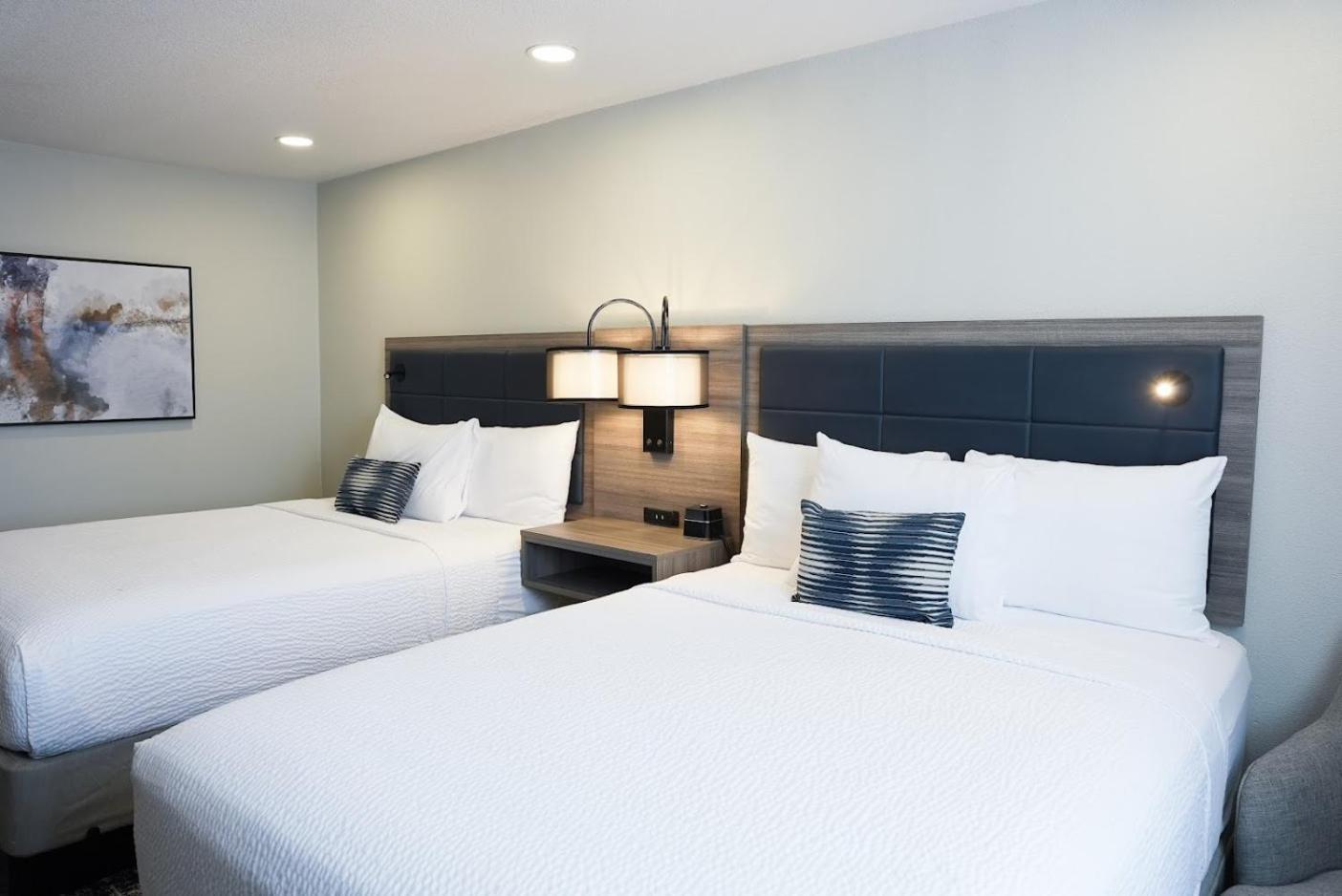 Wyndham DFW Airport photo 62