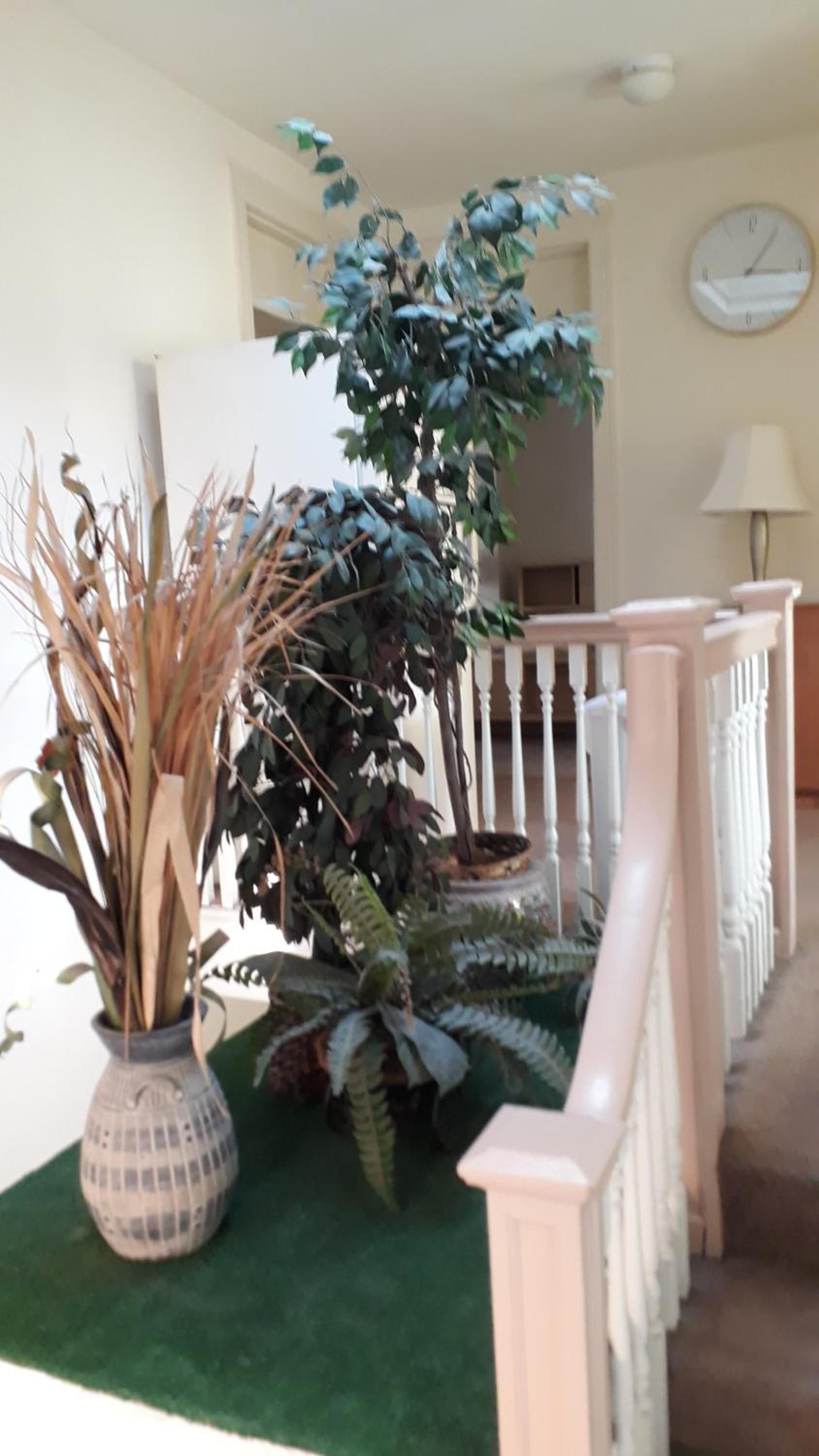 Pleasant Rooming House photo 39