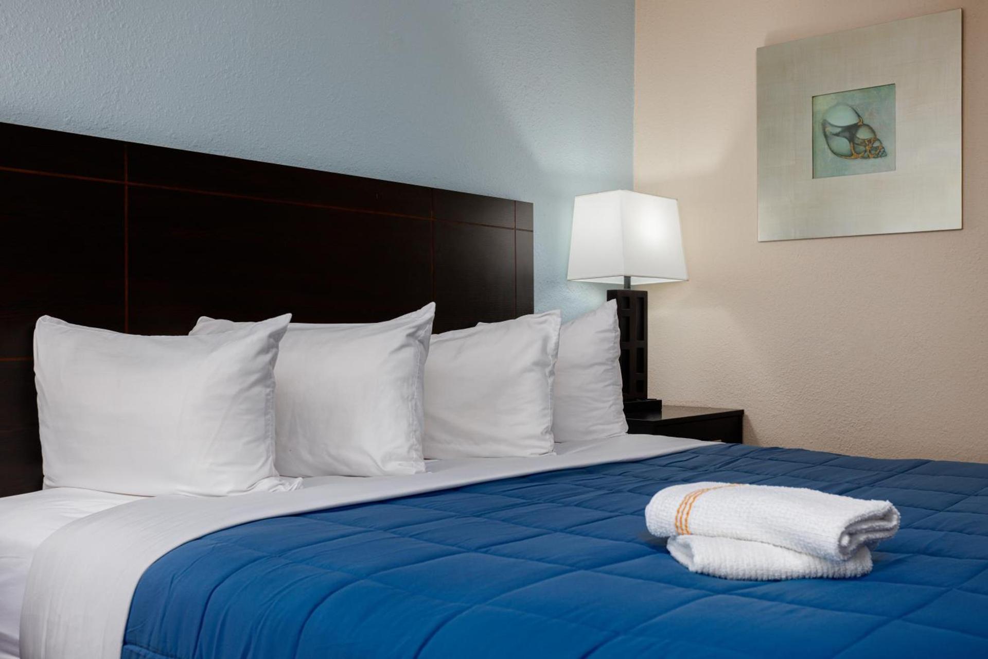 Quality Inn St Augustine Historic District Area photo 48