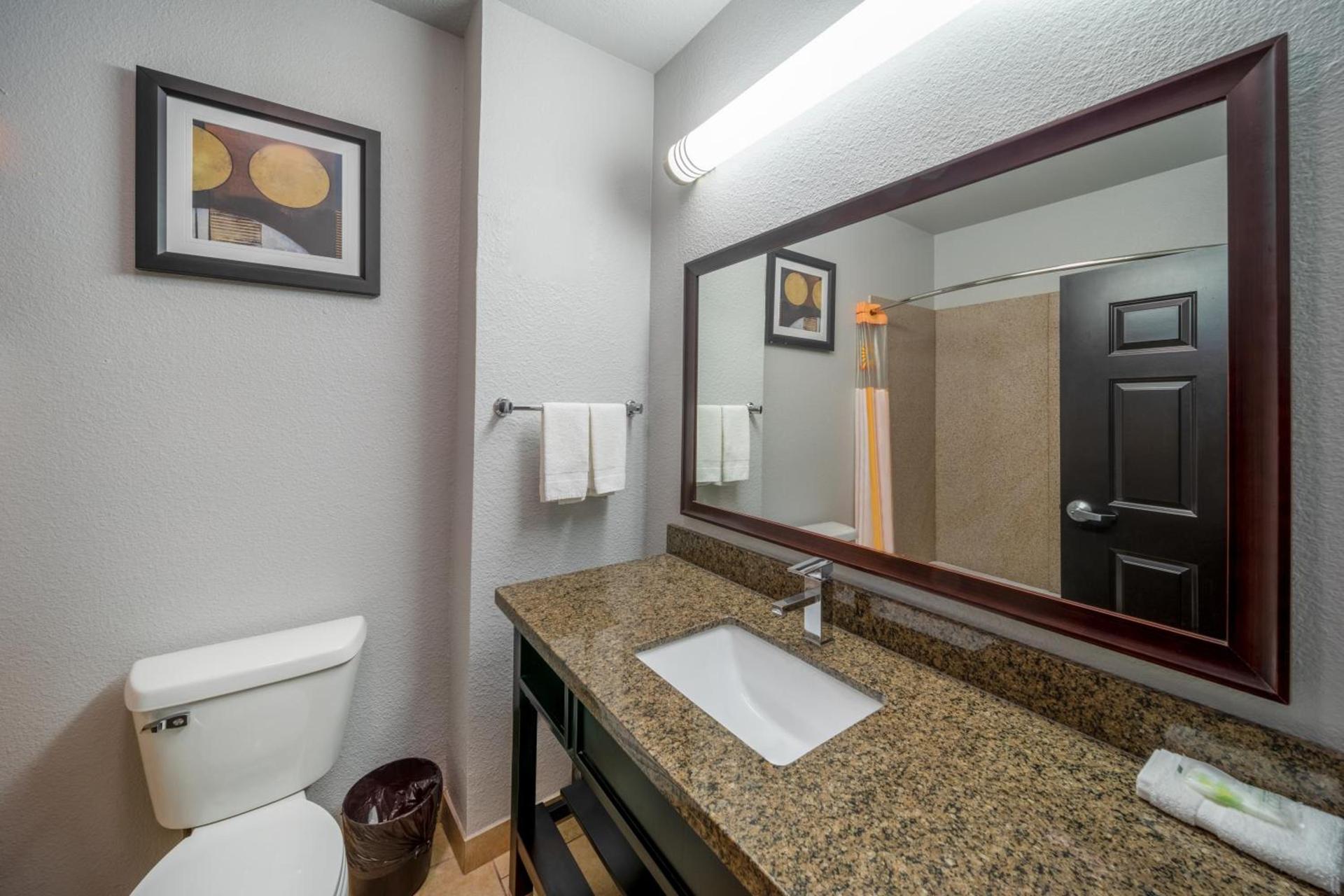 La Quinta by Wyndham Mt. Pleasant photo 33