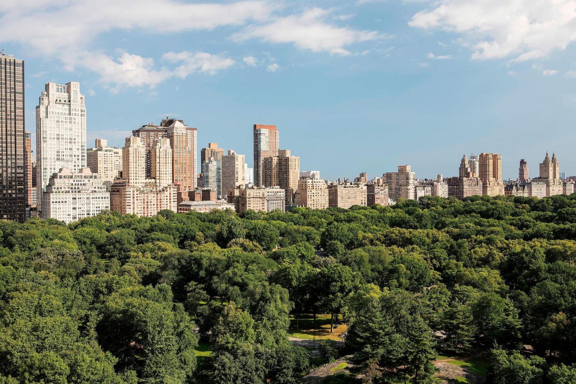The Ritz-Carlton New York, Central Park photo 59
