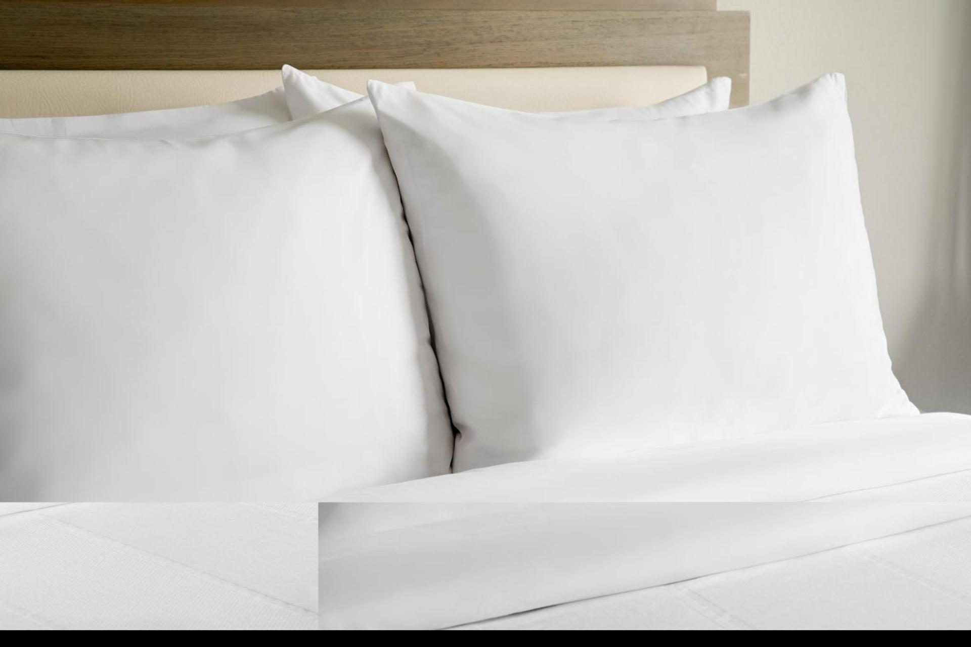 Marriott Dallas Las Colinas photo 53