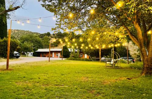 Mile High Ranch photo 13