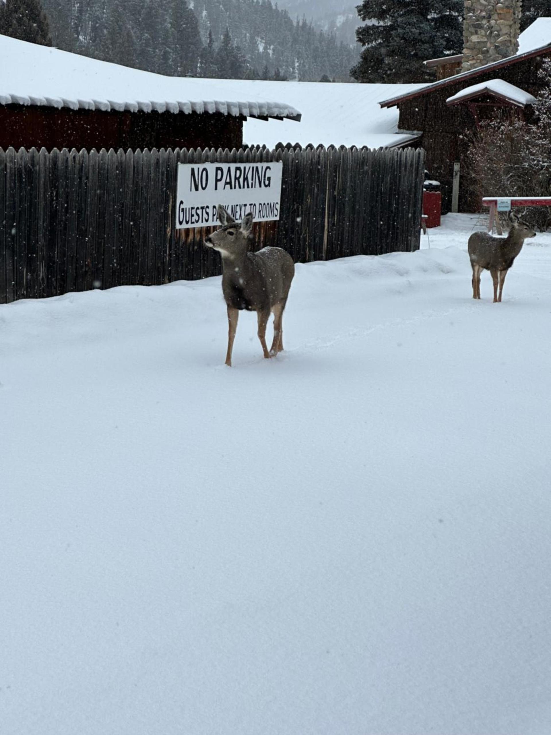 Deer Lodge photo 28