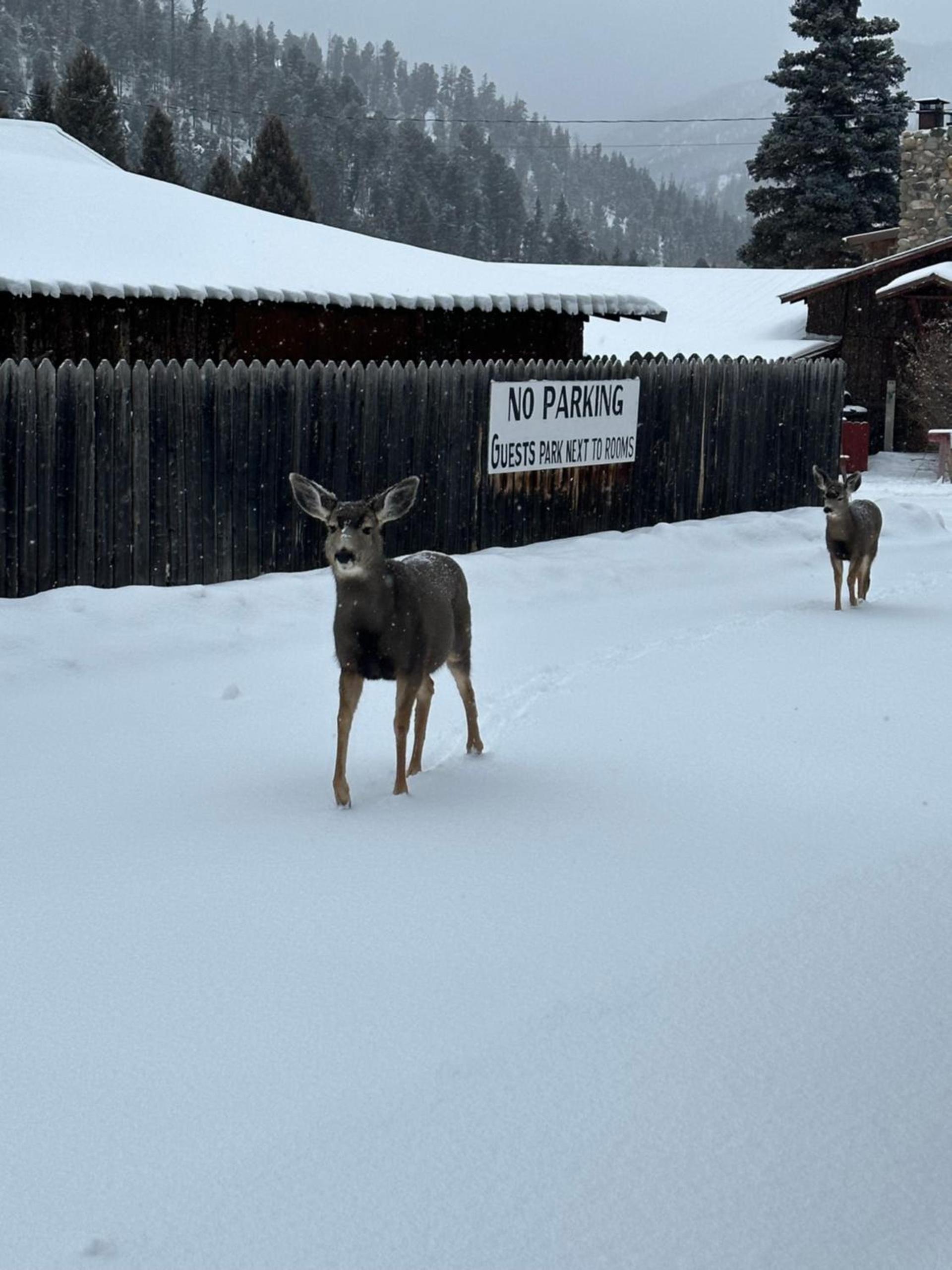 Deer Lodge photo 29