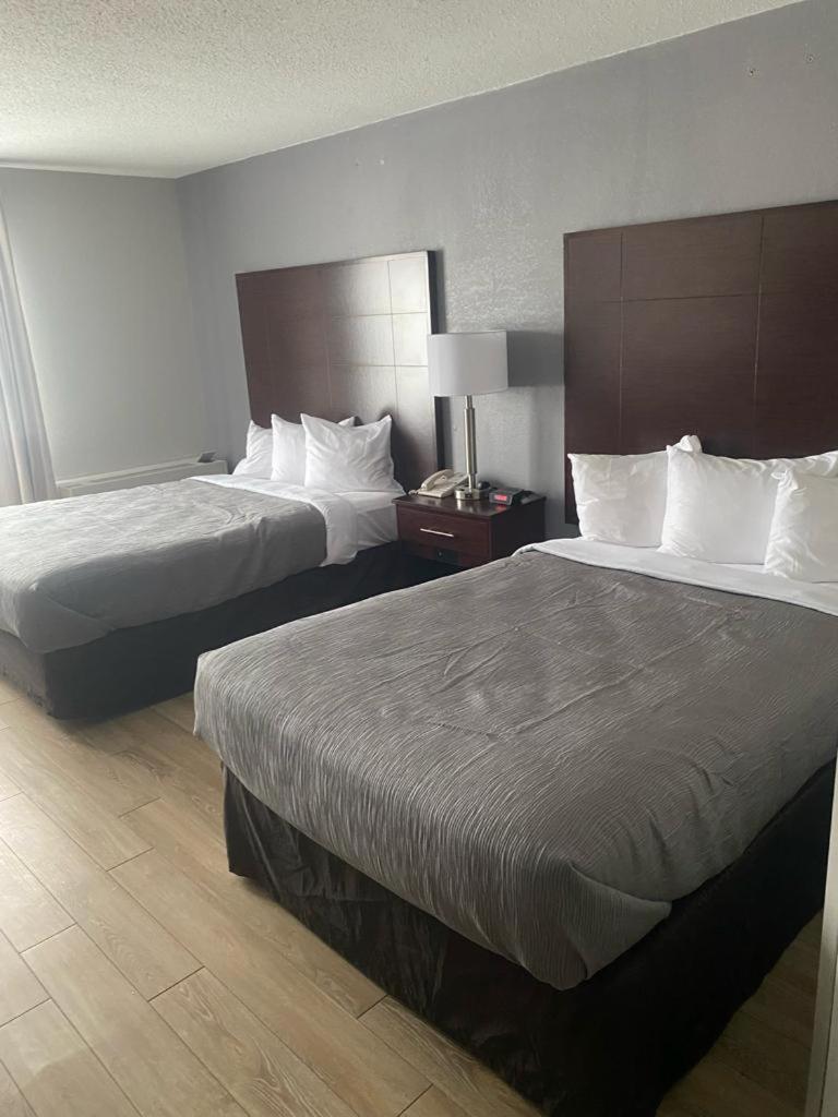 Quality Inn Colchester - Burlington photo 6