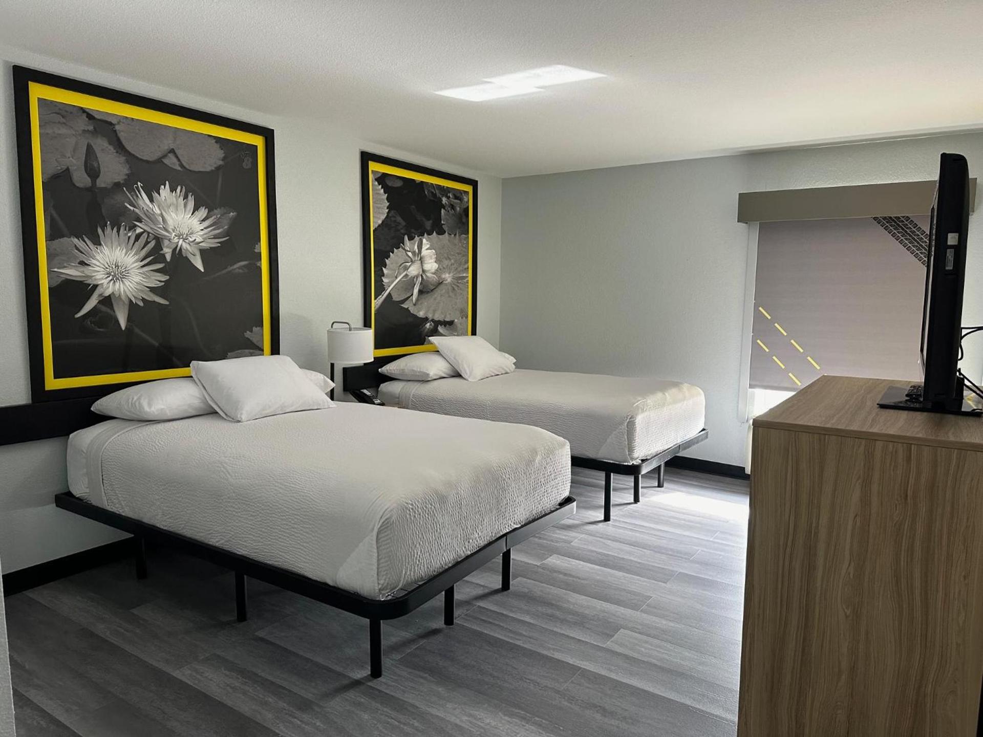 Super 8 by Wyndham Alexandria LA photo 14
