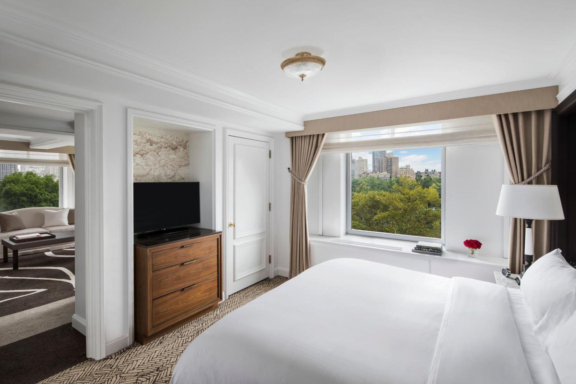 The Ritz-Carlton New York, Central Park photo 85