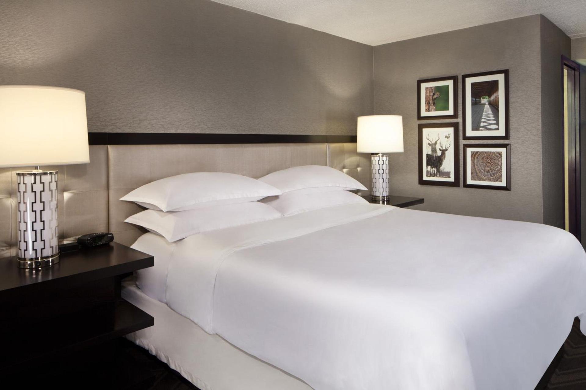 Sheraton Bucks County Langhorne photo 6