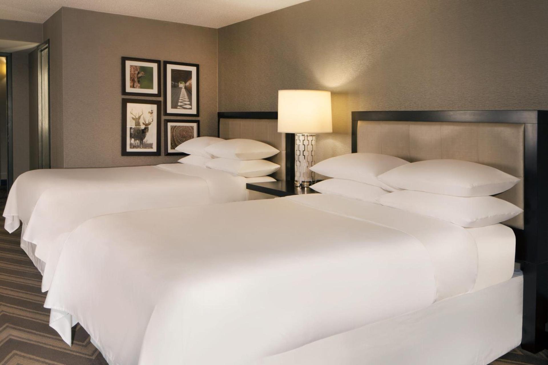 Sheraton Bucks County Langhorne photo 14
